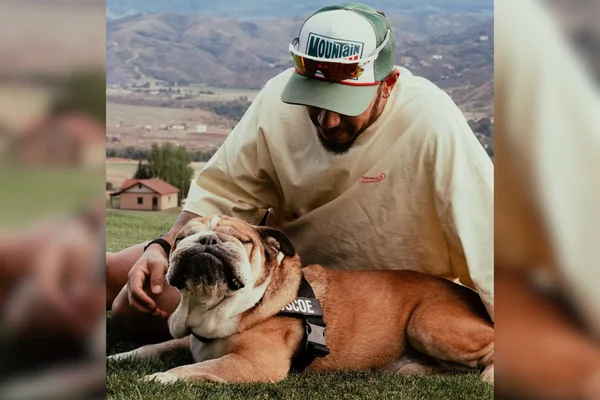 Foto colorida de Roscoe, cachorro de Lewis Hamilton - Metrópoles