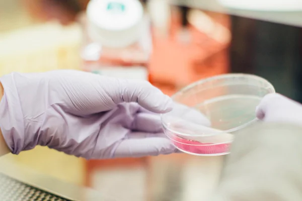 Homens congelam sêmen para adiar paternidade