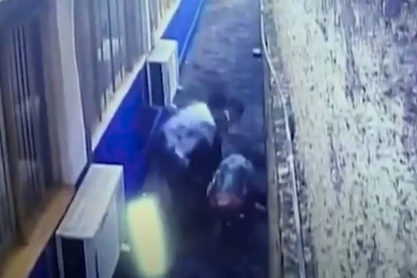 Paraná: presos cavam túnel e fogem da cadeia; câmeras registraram o momento