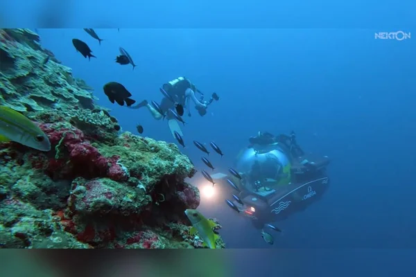 Submarino da Nekton Mission no Oceano Índico - Metrópoles