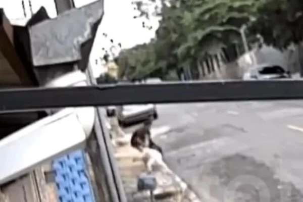 Pitbull foge de casa e ataca menina de 4 anos na rua - Metrópoles