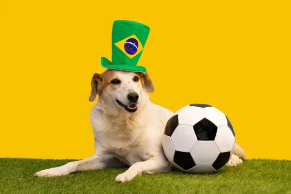 Inspire-se: 12 nomes de jogadores de futebol para batizar seu cachorro