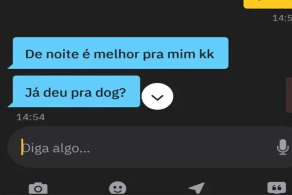 Prints: dono de yorkshire é investigado por oferecer cão para fazer sexo com homens