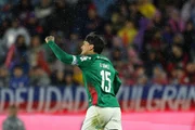 Brasileirão: saiba onde assistir ao duelo entre Palmeiras x Vasco - imagem 2 Brasileirão: saiba onde assistir ao duelo entre Palmeiras x Vasco - imagem 2