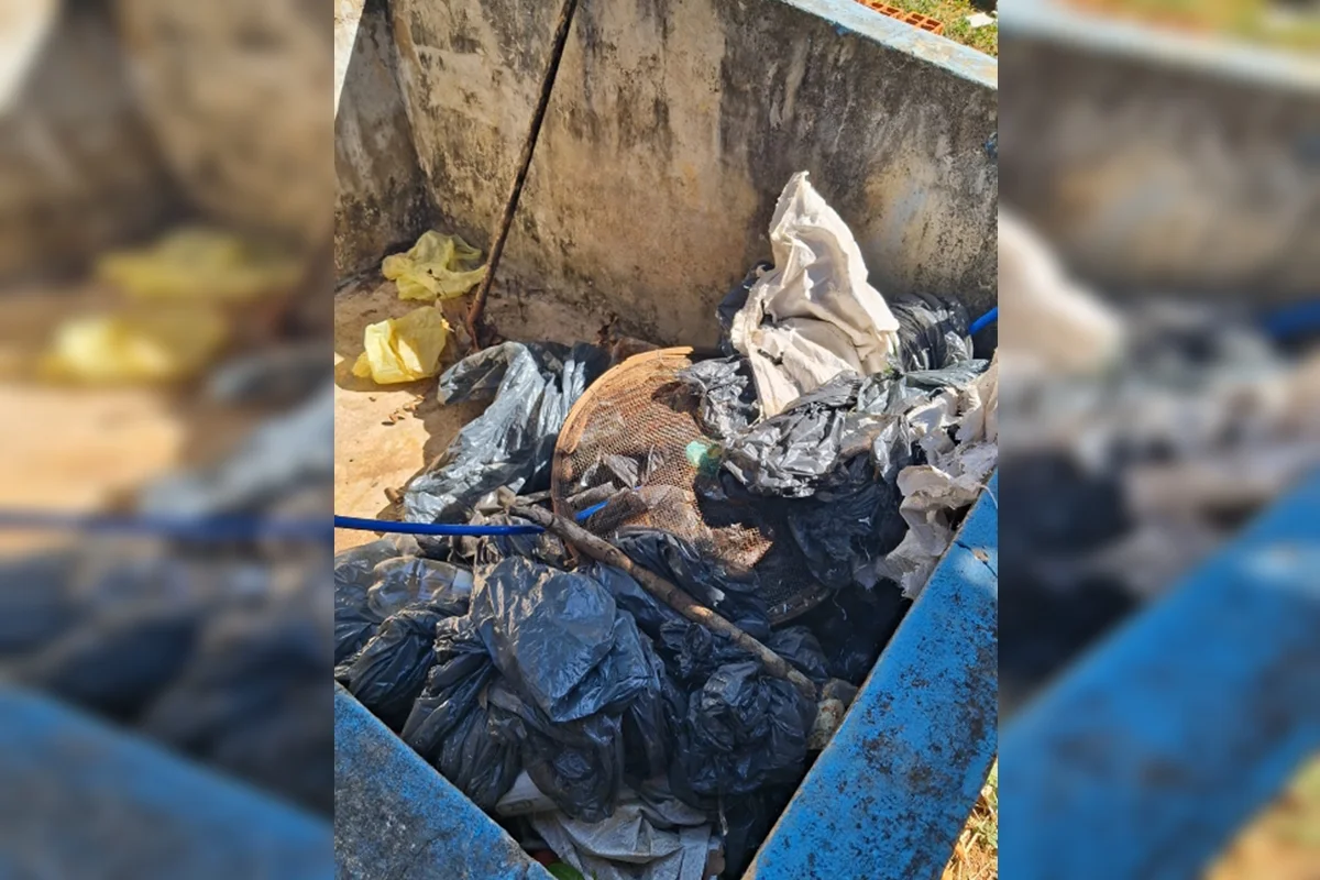 colégio em criança foi picada tinha más condições sanitárias colégio em criança foi picada tinha más condições sanitárias