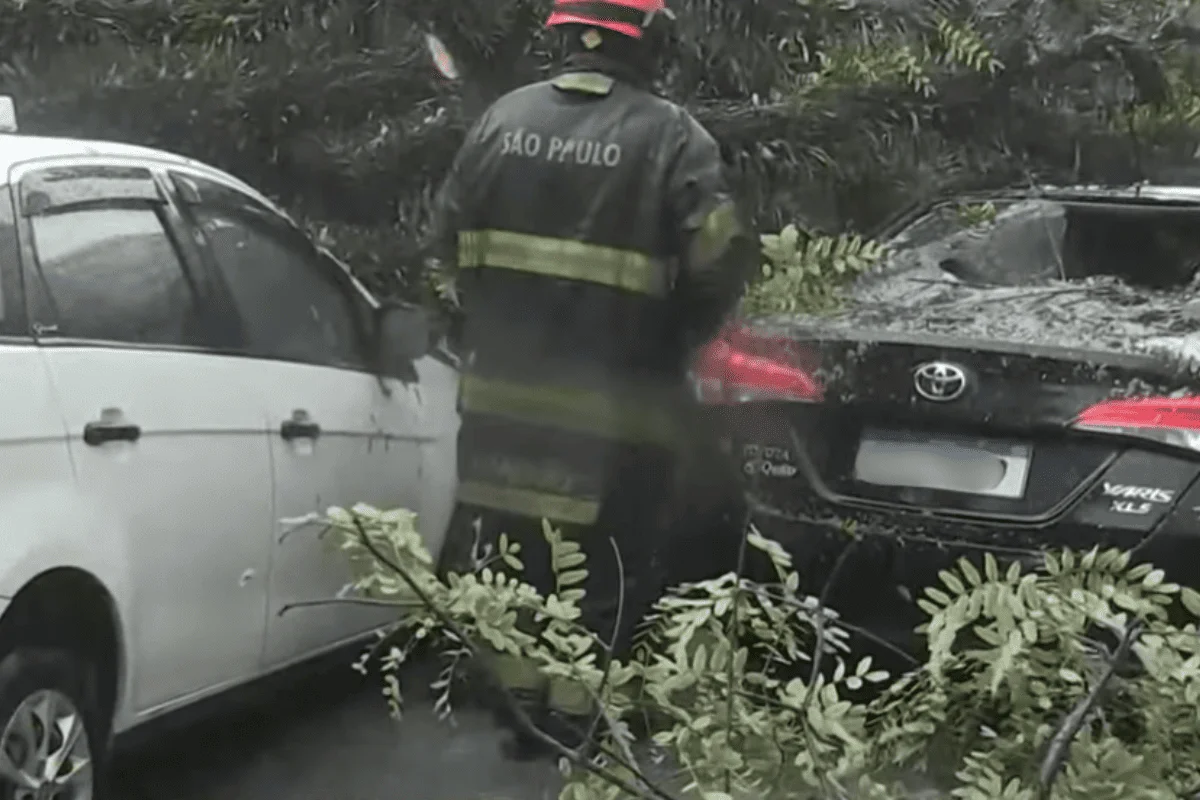 Chuva em SP provoca cachoeira no metrô e queda de árvore sobre carros - imagem 2 Chuva em SP provoca cachoeira no metrô e queda de árvore sobre carros - imagem 2