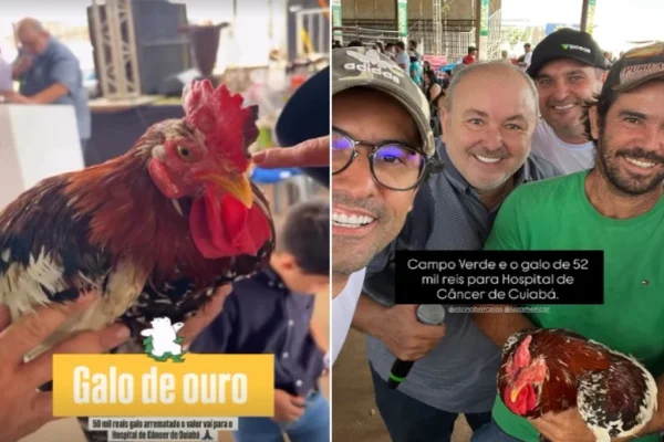 Imagem colorida mostra foto em leilão beneficente de um galo - Metrópoles