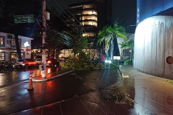 Imagem colorida mostra árvore caída sobre poste em rua durante a noite e com asfalto molhado pela chuva - Metrópoles