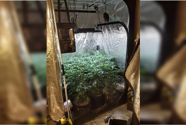 PCDF prende “playboys do tráfico” que movimentaram R$ 4 mi com drogas gourmet