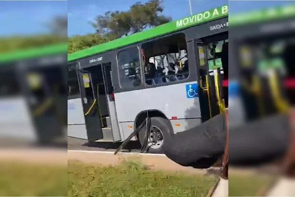 Vídeo: ladrão furta celular, foge de ônibus e é preso após pular da janela de emergência