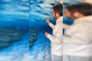 O artista alega partir do oceano e natureza como ponto de conexão O artista alega partir do oceano e natureza como ponto de conexão