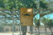 Cinco faccionados do TCP são mortos em operação no Entorno do DF - imagem 3 Cinco faccionados do TCP são mortos em operação no Entorno do DF - imagem 3