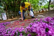 Homenagem a Isaac Augusto de Brito Vilhena de Moraes, 16 anos. Jovem foi esfaqueado após ter celular roubado, na Asa Sul Homenagem a Isaac Augusto de Brito Vilhena de Moraes, 16 anos. Jovem foi esfaqueado após ter celular roubado, na Asa Sul