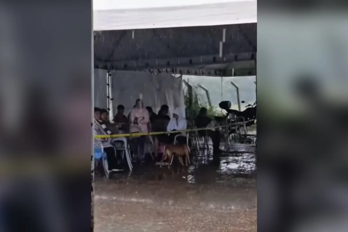 Tutores encaram temporal e aguardam atendimento no Hvet sob tenda furada