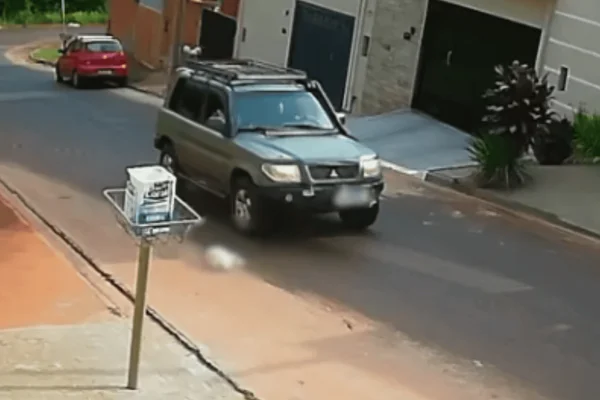 polícia investiga cachorra atropelada interior sp