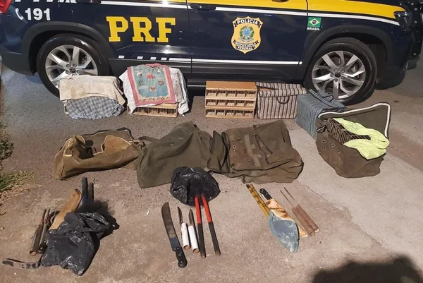 Imagem colorida mostra instrumentos como facões e armas dispostos no chão, além de gaiolas cobertas com panos retiradas de carro de homem detido por crime ambiental - Metrópoles