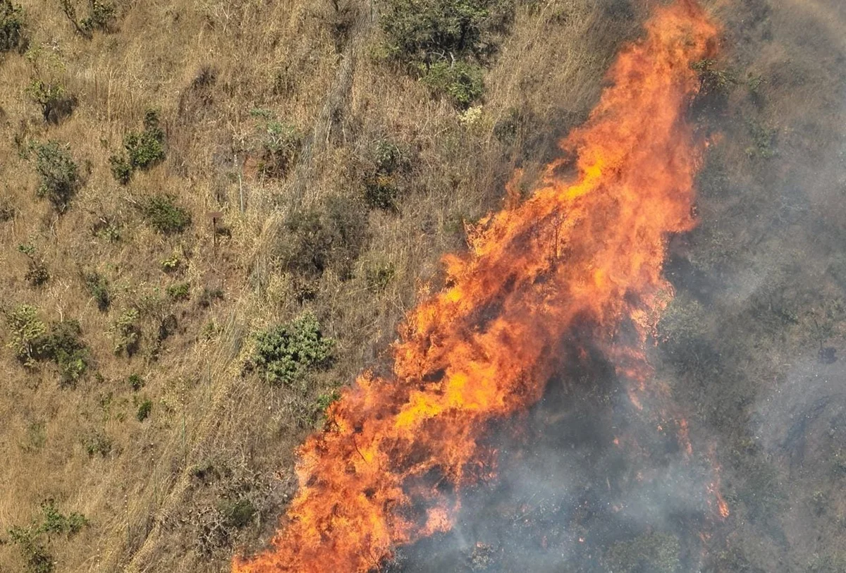 Incêndio se espalhou rapidamente por causa do mato seco e baixa umidade Incêndio se espalhou rapidamente por causa do mato seco e baixa umidade