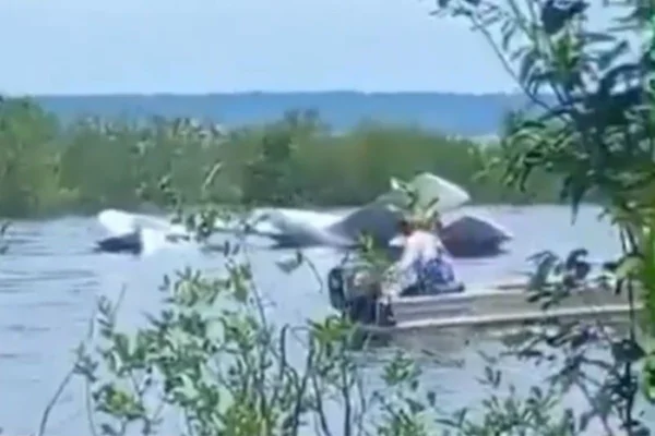 Foto colorida de banhistas resgatando vítimas de queda de avião no Rio Negro - Metrópoles
