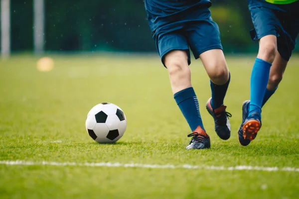 Favoritos Campeonato Gaúcho