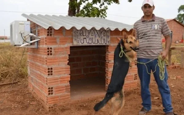 Homem com seu cachorro em frente ao canil com ar-condicionado