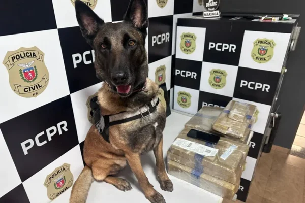 Policias encontraram 24 quilos de maconha escondido no ônibus