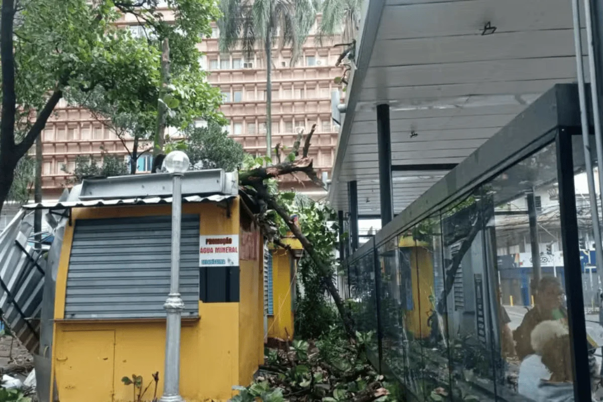 Temporal estaria relacionado com entrada de frente fria na cidade. A forte chuva resultou em quedas de árvores e destelhamentos Temporal estaria relacionado com entrada de frente fria na cidade. A forte chuva resultou em quedas de árvores e destelhamentos