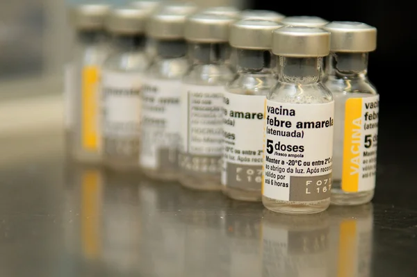 Casos de febre amarela quadruplicam em uma semana no Brasil