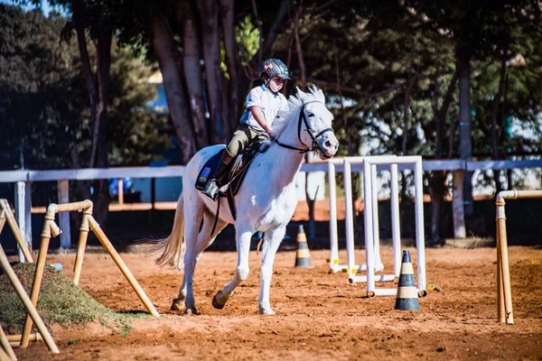 Após pintura em cavalo, Hípica abre as portas para explicar atividade