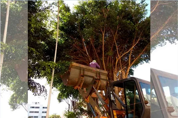 DF: detentos do semiaberto trabalham sem equipamento de segurança