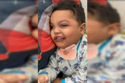 Thomas levou cinco picadas Thomas levou cinco picadas