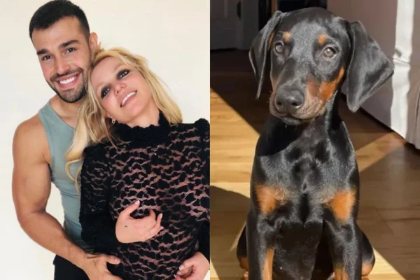 Britney Spears é autuada após seu cão escapar e ferir idoso na rua