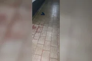 Suspeito de agredir mulher decepa mão de PM e é baleado em MT - imagem 2 Suspeito de agredir mulher decepa mão de PM e é baleado em MT - imagem 2