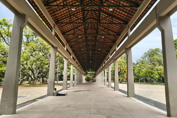 Imagem mostra área da Serraria, no Parque Ibirapuera - Metrópoles