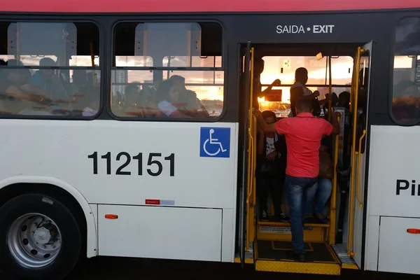 Empresa de ônibus do DF faz campanha para arrecadar brinquedos