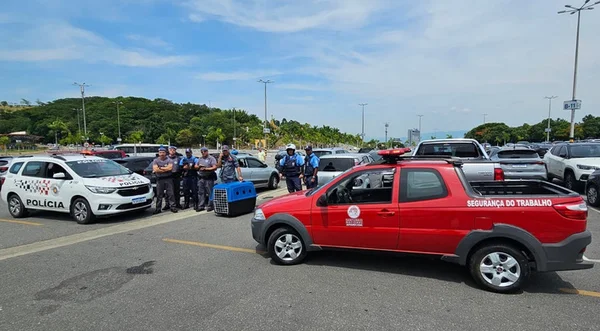 Imagem colorida de estacionamento a céu aberto; policiais posam ao lado de cães resgatados - Metrópoles