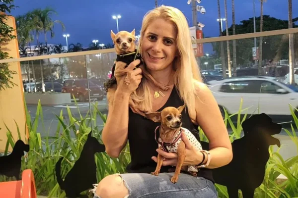 Morre Pituca, pinscher que conquistou a internet ao lado de Juju - destaque galeria