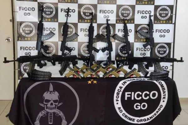 Imagem colorida de fuzis e pistolas apreendidos