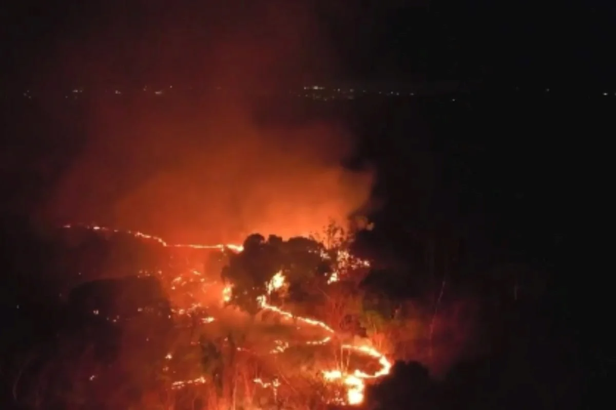 Incêndio em área da Embrapa mobiliza Exército e bombeiros em Teresina (PI) - imagem 3 Incêndio em área da Embrapa mobiliza Exército e bombeiros em Teresina (PI) - imagem 3