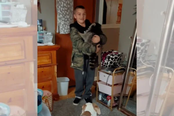 olorida mãe compartilha momento em que filho chega com animal selvagem em casa