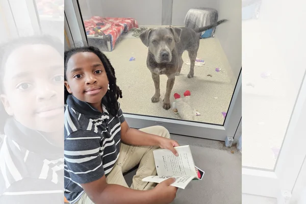 Menino de 11 anos é homenageado por dedicar 100h de leitura a animais