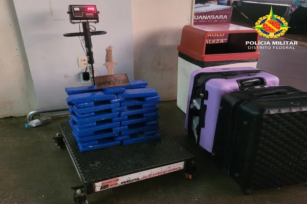 Cães encontram 26 kg de maconha com homem na Rodoviária Interestadual
