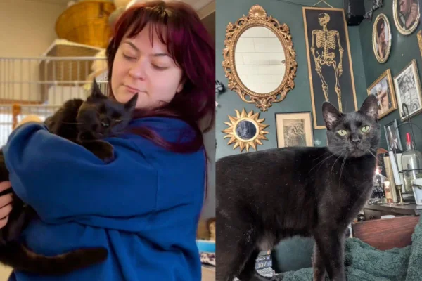 Montagem de duas imagens coloridas de mulher com gato, e gato preto sozinho