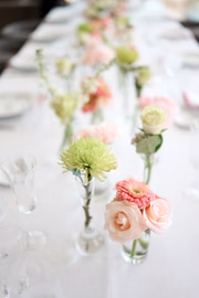 Flores