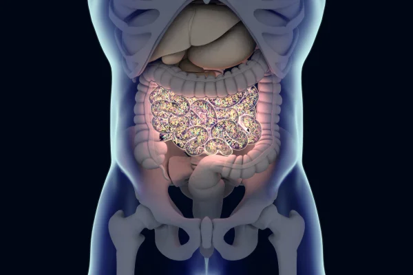 Ilustração de microbiota intestinal - Metrópoles