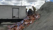 DF: caminhoneiro fica gravemente ferido após colidir em monte de brita - imagem 6 DF: caminhoneiro fica gravemente ferido após colidir em monte de brita - imagem 6
