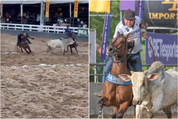 Imagem colorida, Vídeo: vaqueiro morre ao cair e bater cabeça em muro durante vaquejada - Metrópoles