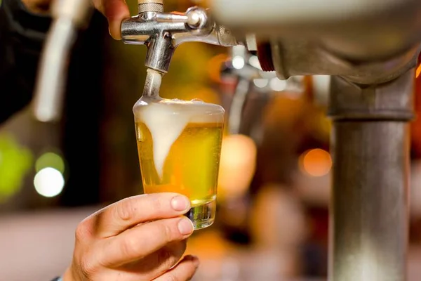Três cervejas brasileiras estão entre as melhores do mundo