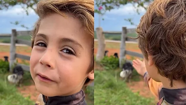 Na imagem colorida, uma criança olha para dois cachorrinhos abandonados à beira de uma estrada - Metrópoles