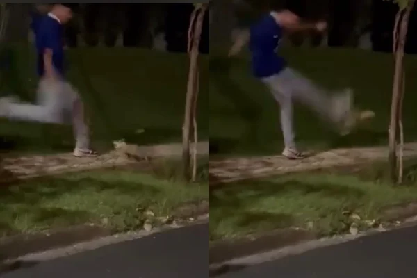 Imagem colorida de homem chutando gambá. Metrópoles