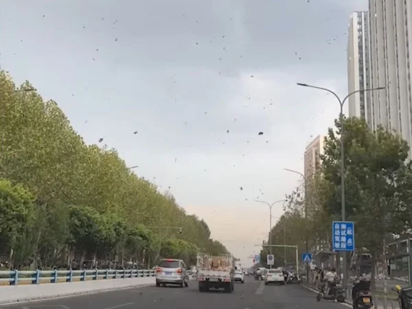 Foto colorida de roupas intímas voando na cidade chinesa Chongqinga - Metrópoles